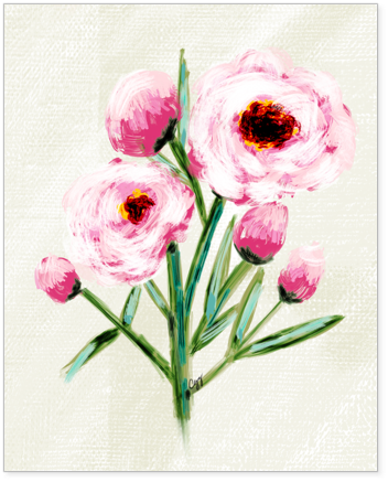Peonies Abstract 8x10