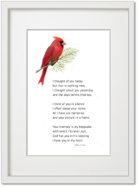 Cardinal  "I Thought Of You Today"  (4x6 Print)