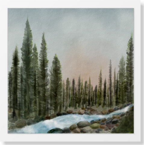 Stream In The Trees 12x12 Print